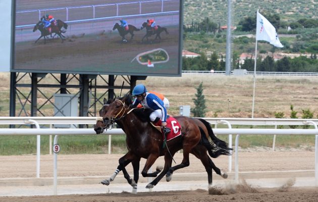 Markopoulo Park: Εντυπωσιακές κούρσες, μεγάλα κέρδη και ρεκόρ αγορών στις δημοπρασίες εξωτερικού