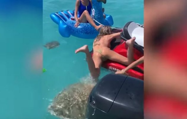 Θαλάσσια χελώνα θέλει να «μασουλήσει» κουκλάρα στις Μπαχάμες (βίντεο)