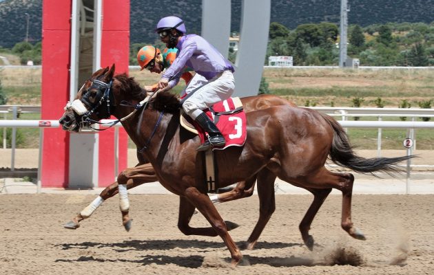 Markopoulo Park: Μοναδικό θέαμα με εντυπωσιακά photo finish