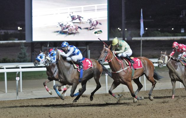 Markopoulo Park: Συναρπαστικό θέαμα και διασκέδαση για όλη την οικογένεια την Κυριακή