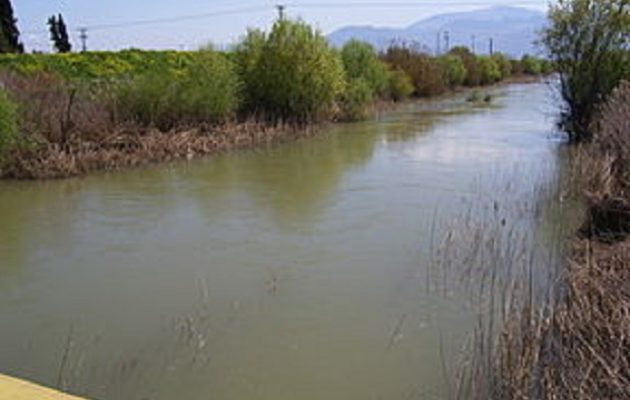 Συναγερμός στην αστυνομία: Βρέθηκε πτώμα στον Βοιωτικό Κηφισό