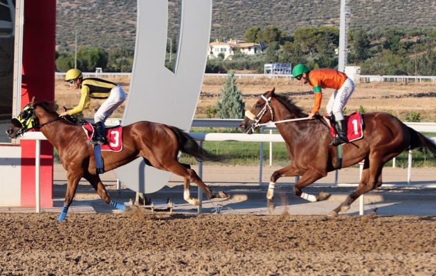 Markopoulo Park: Οι πέντε κορυφαίες ιπποδρομίες του Ιουλίου (βίντεο)