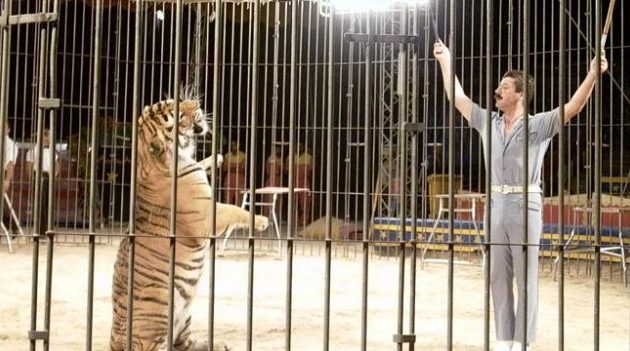 Τίγρεις σε τσίρκο κατασπάραξαν τον θηριοδαμαστή τους