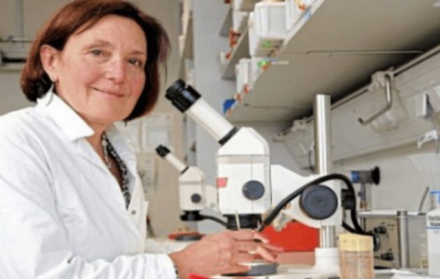 Δολοφονία Αμερικανίδας βιολόγου στην Κρήτη: Δέκα προσαγωγές υπόπτων – Οι μαρτυρίες φωτιά