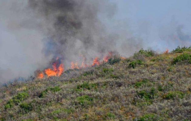 Υπό μερικό έλεγχο η φωτιά στην Αργολίδα