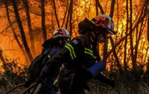 Καίγεται το πευκοδάσος Natura στην Εύβοια – Καπνοί σκέπασαν την Αττική