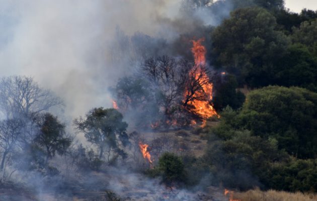 Πενήντα έξι δασικές πυρκαγιές το τελευταίο 24ωρο σε όλη την Ελλάδα