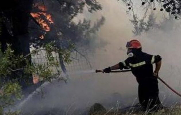 Μπαράζ πυρκαγιών: Φωτιά σε δασική έκταση στα Μέγαρα – Πάνω από 68 οι φωτιές σε μια ημέρα!