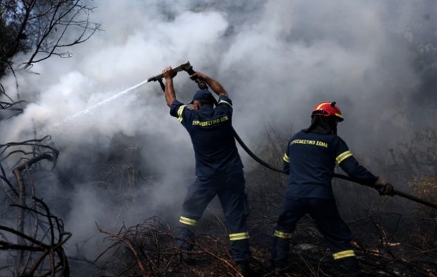 Σκληρές μάχες με τη φωτιά για να μην φτάσει σε χωριά της Εύβοιας δίνουν οι πυροσβέστες (βίντεο)