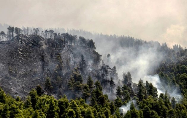 Συνεχίζεται η μάχη της κατάσβεσης της μεγάλης πυρκαγιάς στην Εύβοια
