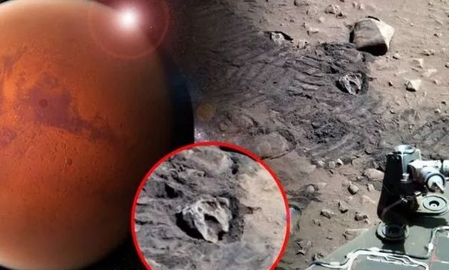 «Ειδικός εξωγήινων» είδε απολιθωμένο «κρανίο δεινοσαύρου» στην επιφάνεια του Άρη