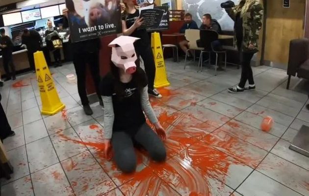 Δικάζεται 24χρονη βίγκαν που έκανε το… γουρούνι στα McDonald’s