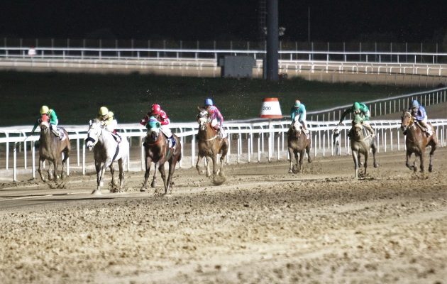 Markopoulo Park: Έπαθλα 25.000 ευρώ και 28 κορυφαίοι ίπποι στα Winter Challenge (βίντεο)