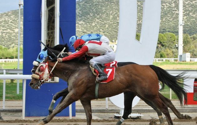 Markopoulo Park: Μεγάλα κέρδη μοίρασε το ΣΚΟΡ 6 – Αμφίρροπες κούρσες με επικράτηση αουτσάιντερ (βίντεο)