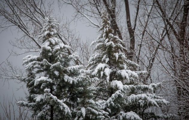 Καιρός: Πρωτοχρονιά με χαμηλές θερμοκρασίες, χιόνια και θυελλώδεις ανέμους