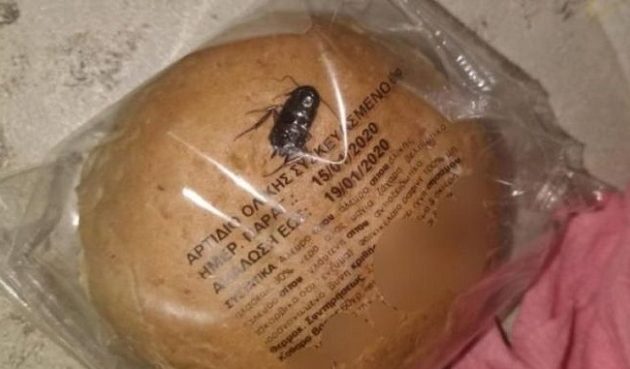 Μαθητής δημοτικού βρήκε κατσαρίδα σε συσκευασμένο ψωμί