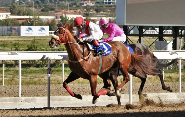 Markopoulo Park: Εννέα μεγάλοι νικητές στο τζακ ποτ του ΣΚΟΡ 6