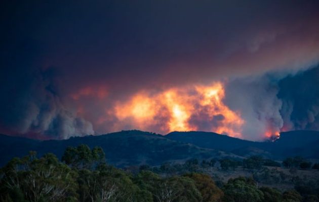 Καμίνι από τον καύσωνα η Αυστραλία – Πυρκαγιές απειλούν την πρωτεύουσα