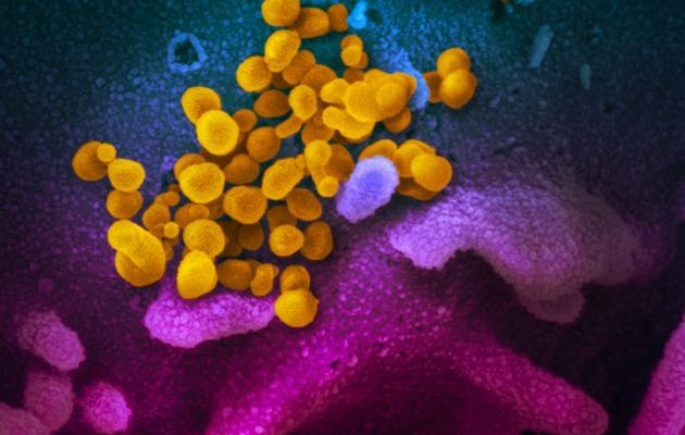 Κοροναϊός: Νέες εξελίξεις – Η περίοδος επώασης του νέου κοροναϊού μπορεί να φθάνει τις 27 ημέρες