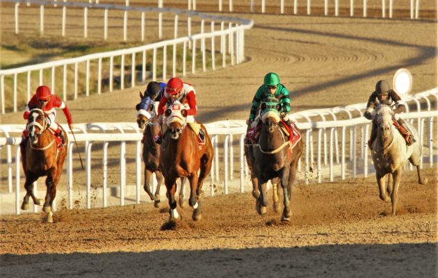 Markopoulo Park: Εννέα αμφίρροπες κούρσες και κέρδη για πολλούς στις πρώτες ιπποδρομίες του Μαρτίου
