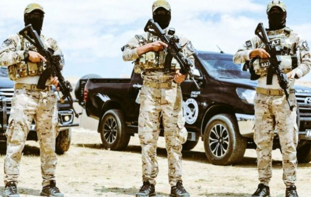 Οι Κούρδοι (SDF) συνέλαβαν οπλαρχηγό ασφαλείας του Ισλαμικού Κράτους στην αν. Συρία