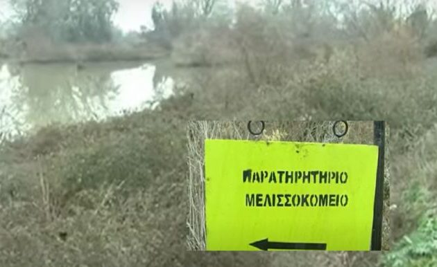 Προσήχθη Βρετανός δημοσιογράφος που κινούνταν «περίεργα» στον Έβρο