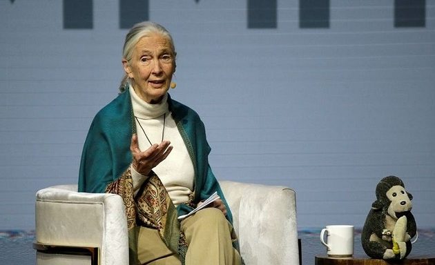 Βρετανίδα επιστήμονας: Tελειώμενη η ανθρωπότητα αν δεν προσαρμοστεί στα νέα δεδομένα