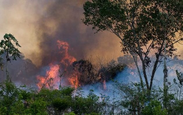 Περισσότερες πυρκαγιές συνεχίζουν να καταστρέφουν τον Αμαζόνιο