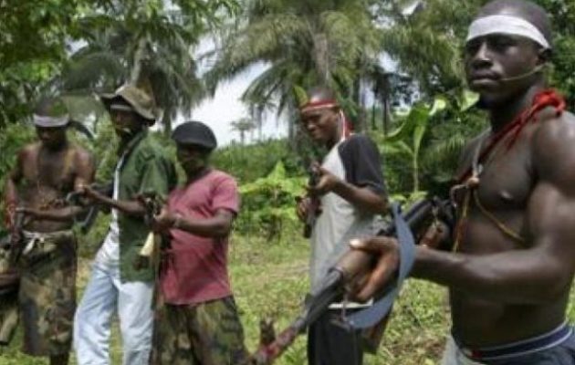 Νιγηρία: Για κάθε όπλο που θα παραδίδουν οι ληστές θα παίρνουν δύο αγελάδες