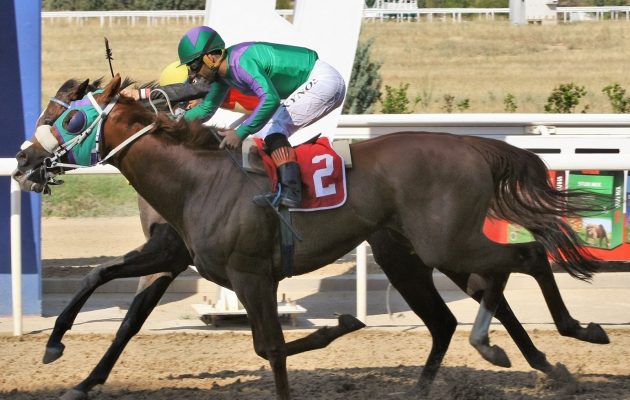 Markopoulo Park: Τρία τζακ ποτ σε ΣΚΟΡ 6, ΣΚΟΡ 4 και Σύνθετο Δίδυμο (βίντεο)