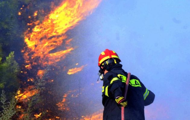 Μεγάλη φωτιά στην περιοχή Σκουτάρι της ανατολικής Μάνης – Εκκενώνεται οικισμός