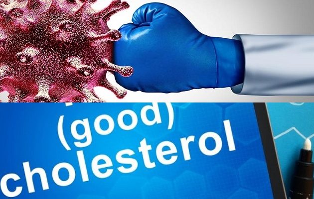 Κορωνοϊός: Η «καλή» χοληστερίνη «αποκρούει» τον κορωνοϊό