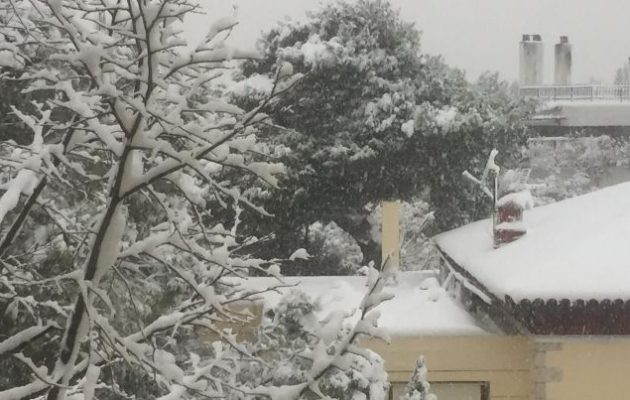 Πυκνή χιονόπτωση στην Αττική: Όλα λευκά – Χωρίς ρεύμα περιοχές στα βόρεια προάστια