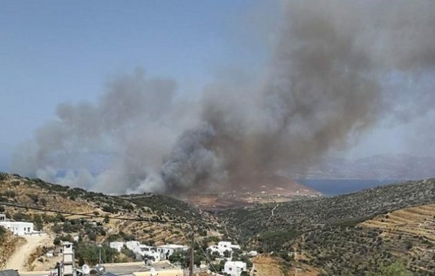 Πυρκαγιά στην Πάρο – Έφτασε κοντά σε κατοικίες (βίντεο)