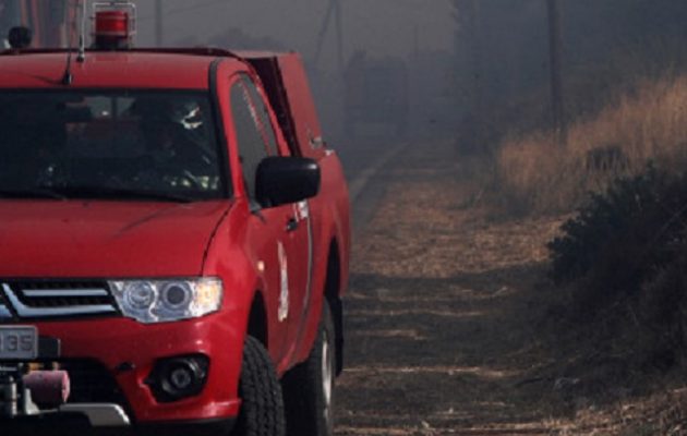 Μεγάλη πυρκαγιά στην Πυλαία Θεσσαλονίκης – Εκκένωση σπιτιών