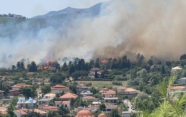 Φωτιά στη Σταμάτα κοντά σε κατοικημένη περιοχή (φωτο)