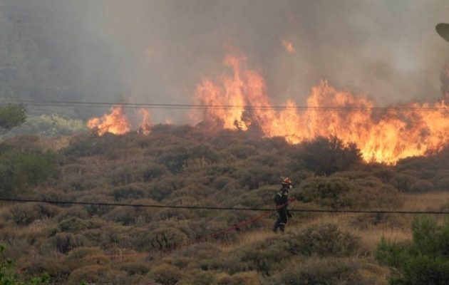 Πυρκαγιά στην Εύβοια – Δυνατοί άνεμοι: «Σε απόσταση αναπνοής από το χωριό»