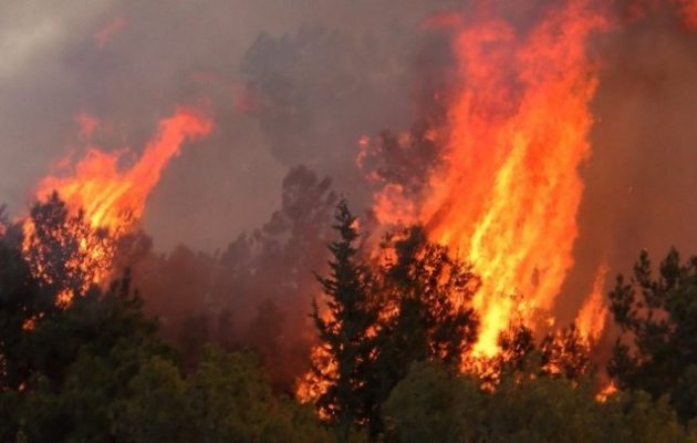 Στις φλόγες η Κύπρος – Εκκενώνονται χωριά – Στέλνει πυροσβεστικά αεροπλάνα η Ελλάδα