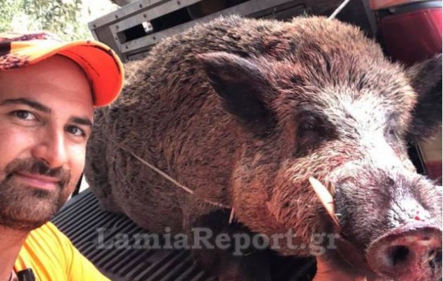 Σκότωσαν αγριογούρουνο 200 κιλών στην Αταλάντη – Οδηγούσε ολόκληρο κοπάδι