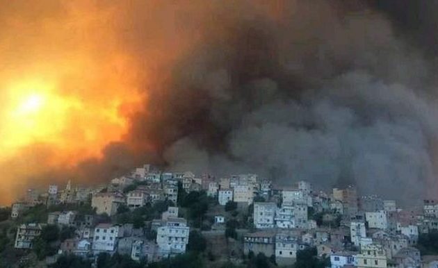 Πύρινη κόλαση στην Αλγερία: 65 νεκροί από τις φωτιές – Οι 28 είναι στρατιώτες