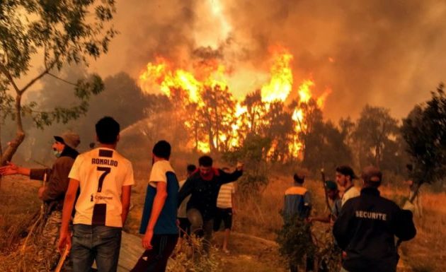 Αλγερία: Η εξόριστη αντιπολίτευση κατηγορείται για τις πυρκαγιές – Αυτοεξόριστοι ηγέτες στόχοι «εξόντωσης»;