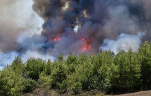 Φωτιά στην Ελαία Φωκίδας: Δόθηκε εντολή εκκένωσης