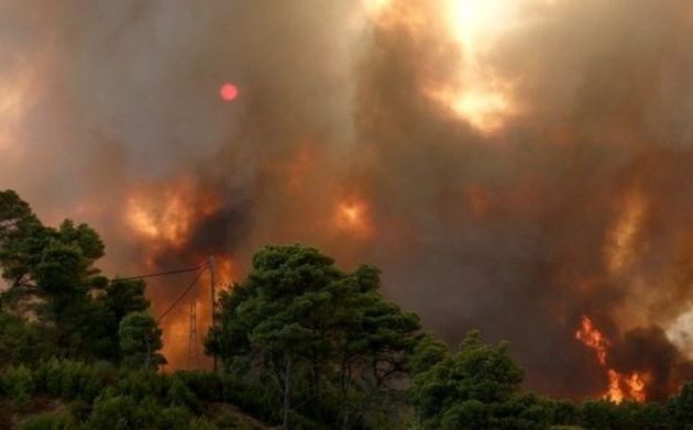 Φωτιά στον Μαραθώνα – Σηκώθηκαν και εναέρια μέσα