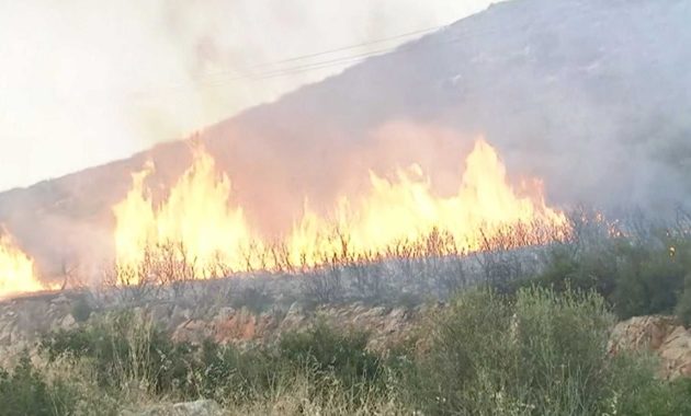 Φωτιά στο Μαρτίνο Φθιώτιδας δίπλα στην Εθνική Οδό