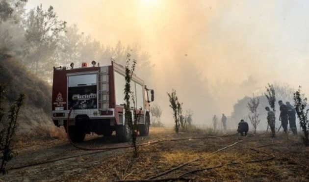 Φωτιά στη Φθιώτιδα: Προληπτική εκκένωση του χωριού Λογγίτσι