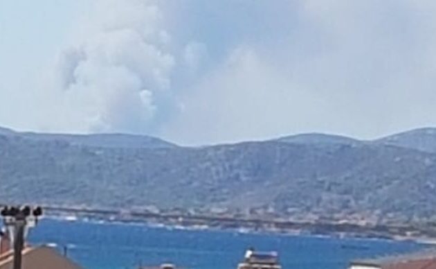 Αρτέμιδα: Φωτιά στη Λούτσα κοντά σε σπίτια