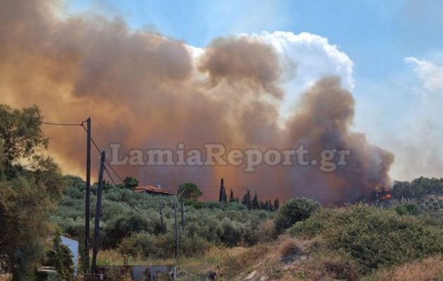 Φωτιά Φθιώτιδα: Κάηκαν σπίτια στον Θεολόγο