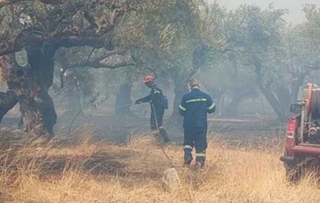 Δύο κάτοικοι της Αρχαίας Ολυμπίας διακομίστηκαν στο Κέντρο Υγείας