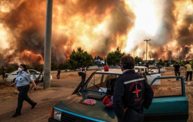 Δήμαρχος Διονύσου: Στο Κρυονέρι καίγονται σπίτια – Έκκληση για εναέρια μέσα