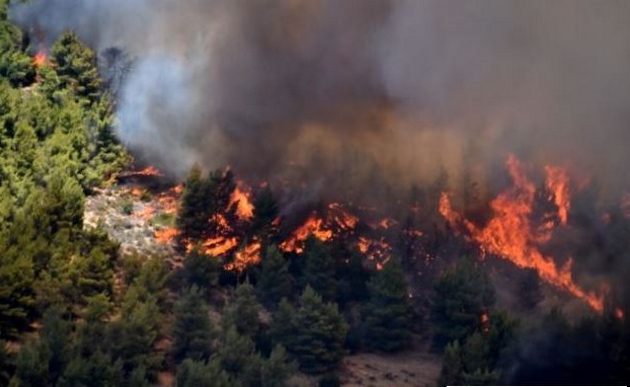 Αναζωπυρώσεις στην ανατολική Μάνη σε Σκαμνάκι, Δεσφίνα και Καρέα